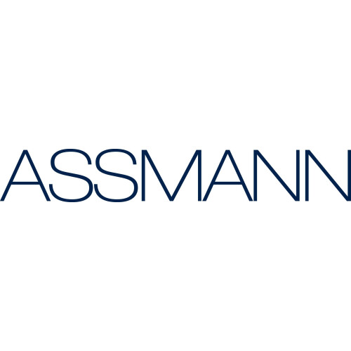 ASSMANN Electronic Logo
