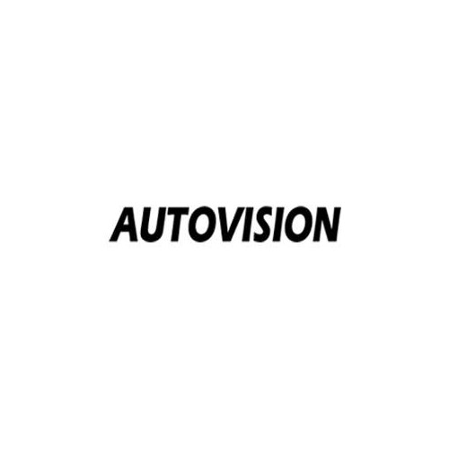 Autovision AV-8850 autoradio Handleiding
