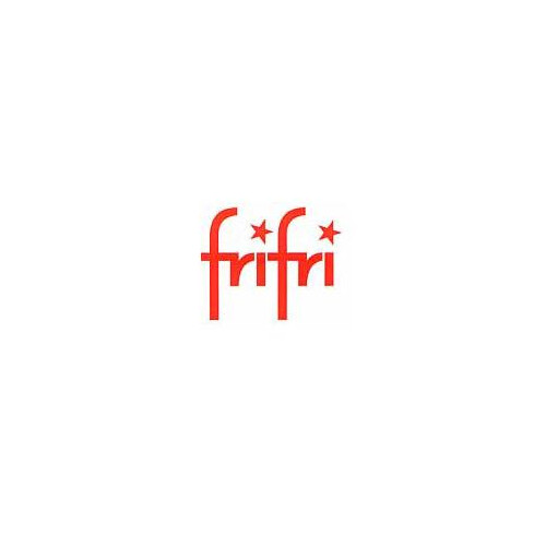 Frifri 5848 friteuse Handleiding