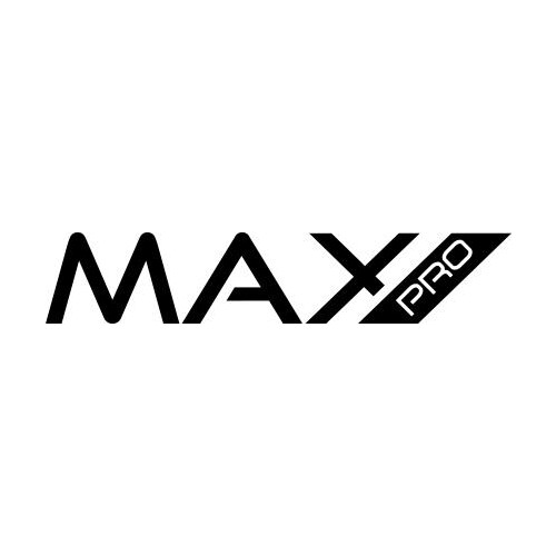 MAX Professional Logo