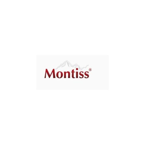 Montiss Logo
