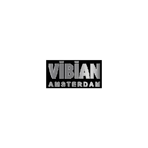 VIBIAN Logo