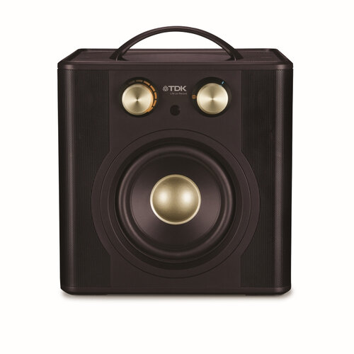 TDK V513 speaker Handleiding