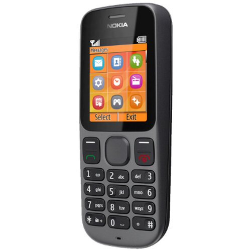 Nokia 100 mobiele telefoon Handleiding