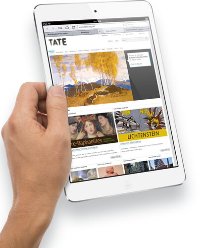 Apple iPad Mini tablet Handleiding