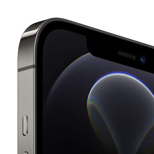 Apple iPhone 12 Pro Max telefoon Handleiding