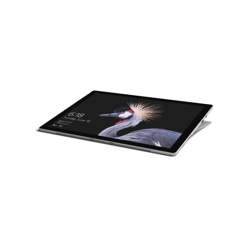 Microsoft Surface Pro tablet Handleiding