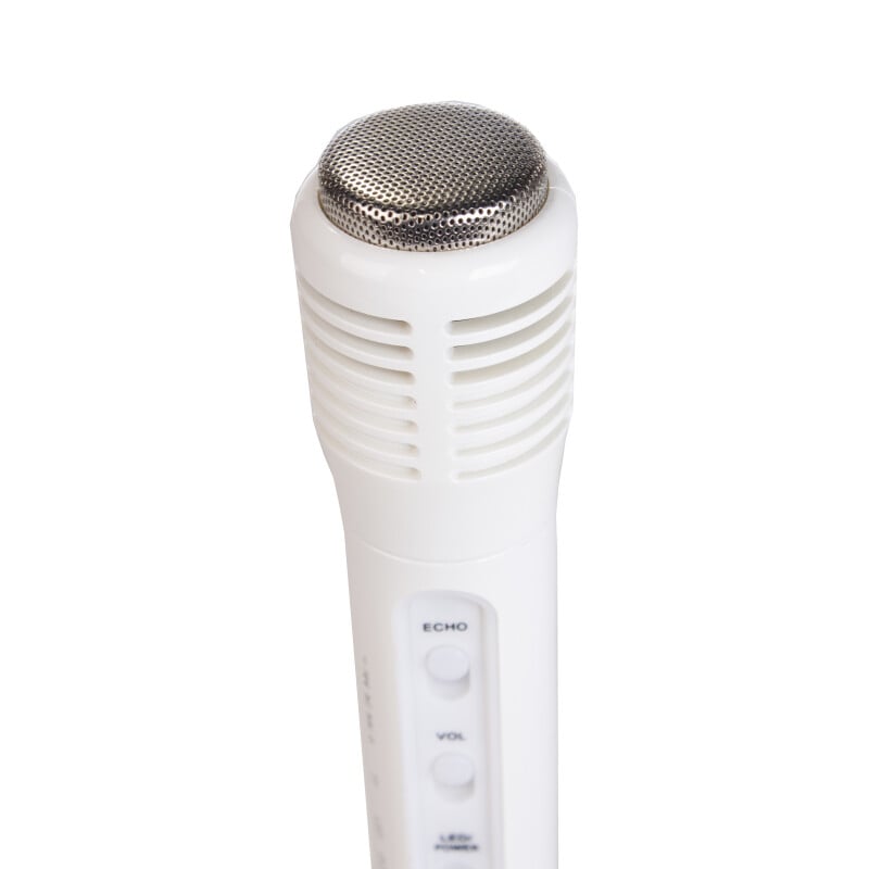 iDance PM 10 microfoon Handleiding