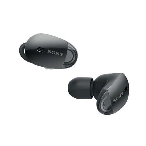 Sony WF-1000X oordopje Handleiding