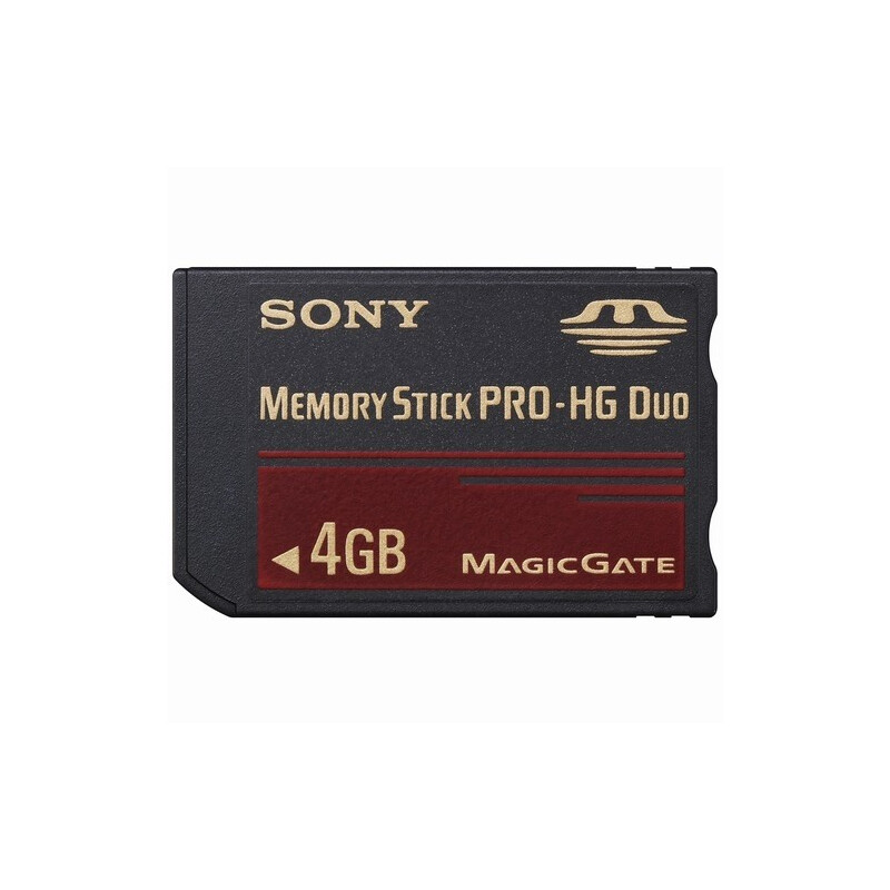 Sony MS-EX4G