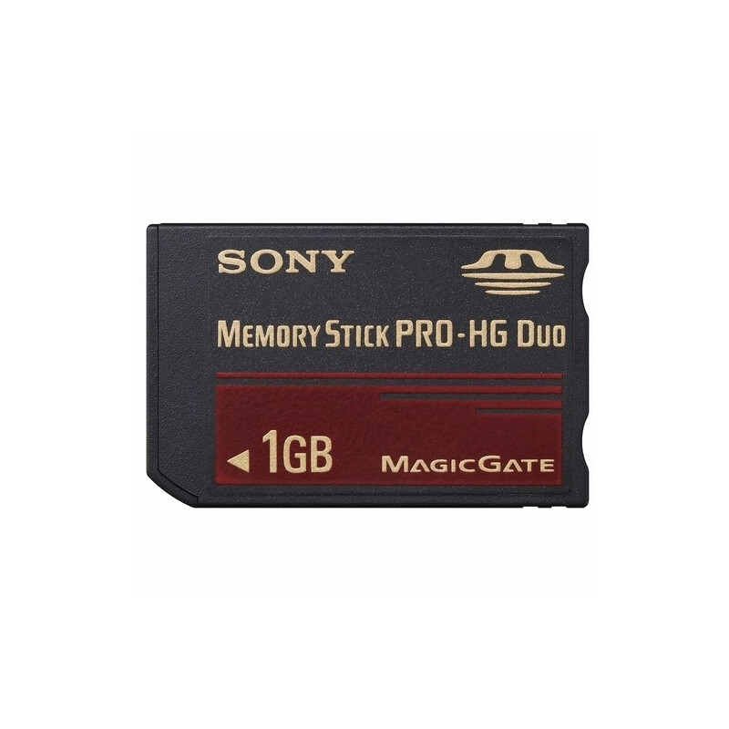 Sony MS-EX1G