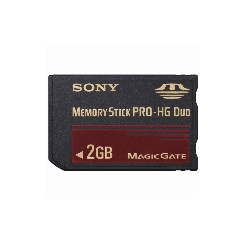 Sony MS-EX2G